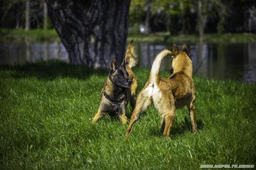 27032020-Louna-Lana1