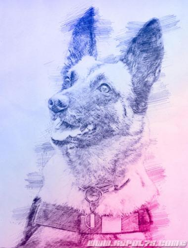 Gaia-artk9pol75-22122020