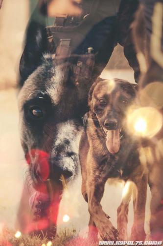 Kalash-Oko-20092020-