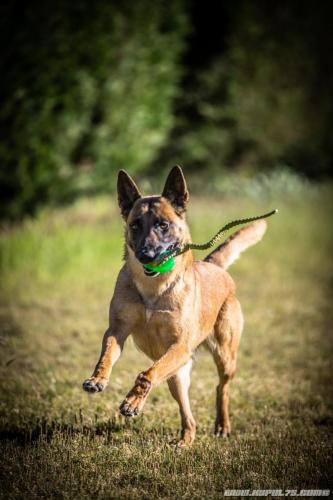 20210531-IMG 3885
