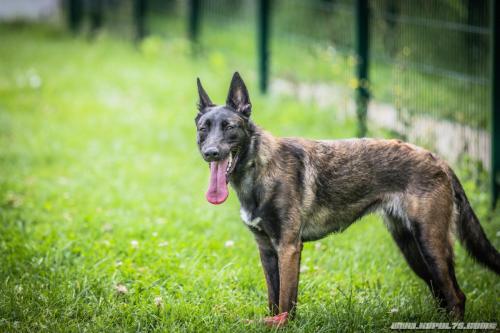 20210801-Nala4