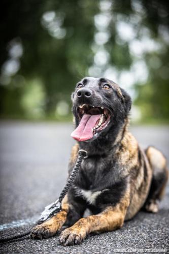 20210819-Nala7