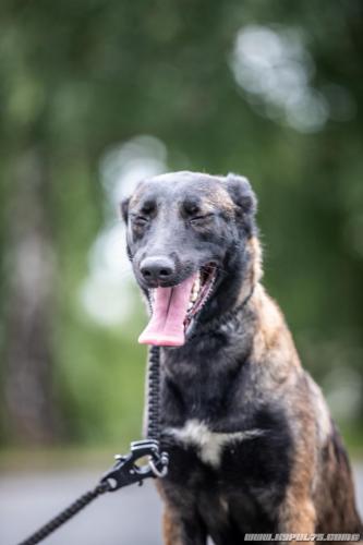 20210819-Nala8