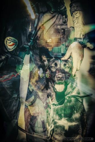 25112021-NalaFullNala