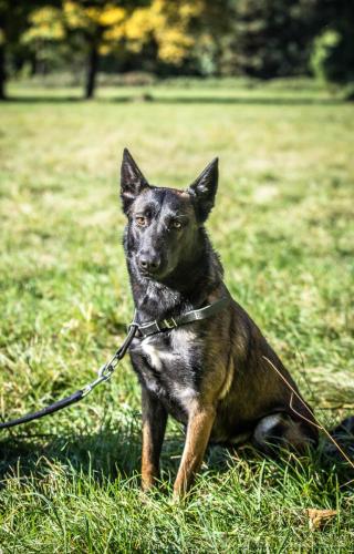 27102021-Nala4