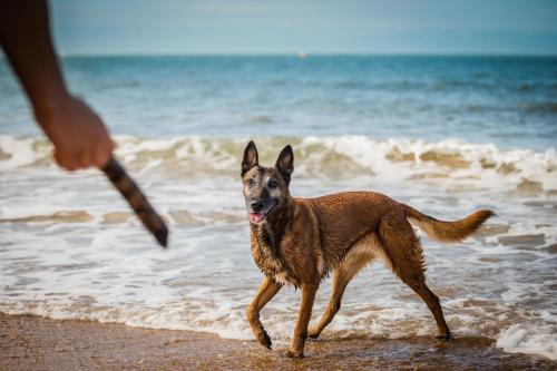 30062021-Djimathie10