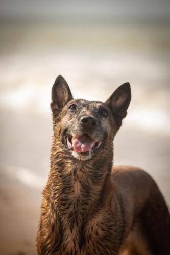 30062021-Djimathie11