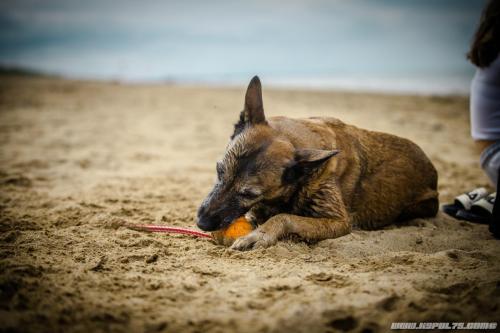 30062021-Djimathie24