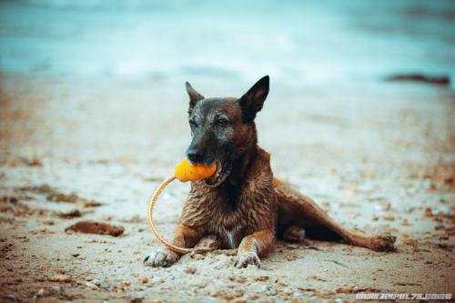 30062021-Djimathie25