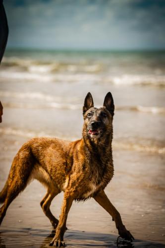 30062021-Djimathie27