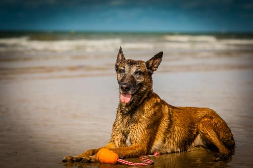 30062021-Djimathie28