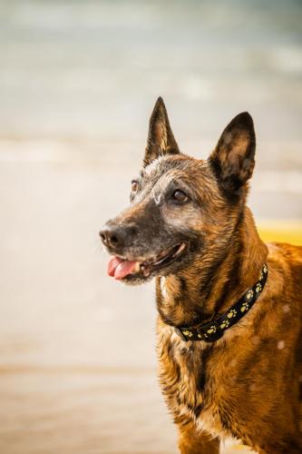 30062021-Djimathie34