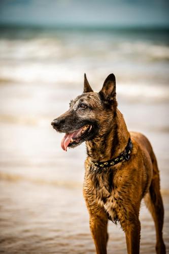 30062021-Djimathie35