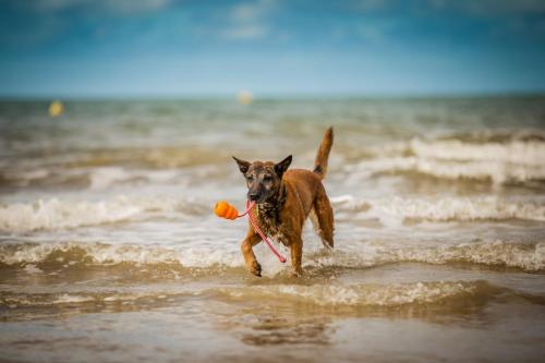 30062021-Djimathie37