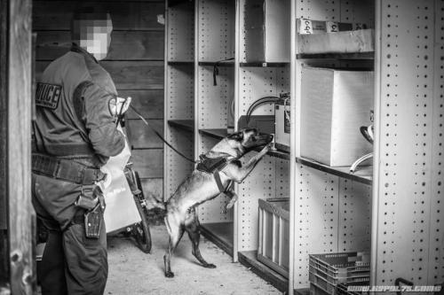 30082021-30082021-Ragnar2