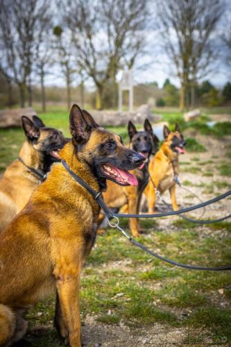 20230321-Pat-Oko-Sun2