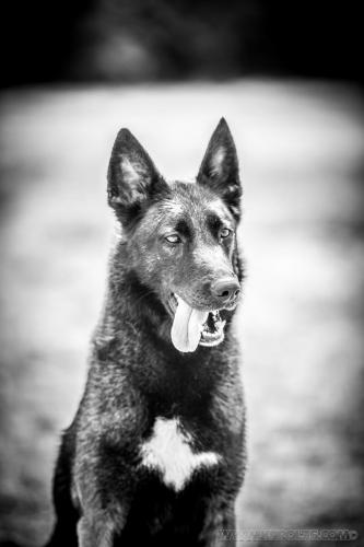 20230620-Nala2