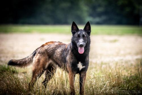 20230620-Nala3