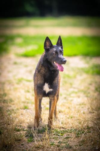 20230620-Nala4