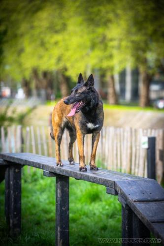 12avril2024-Nala1