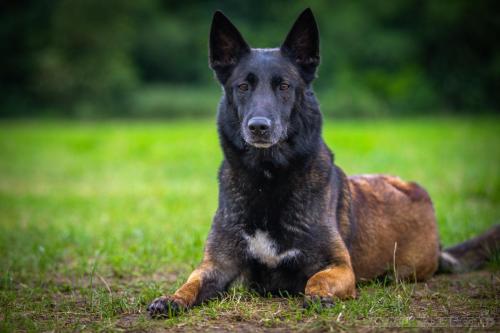 19juin2024-Nala2