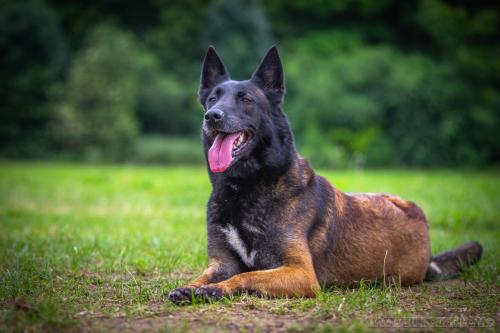 19juin2024-Nala4