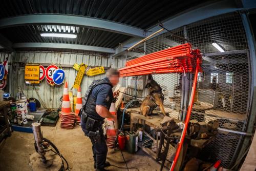 1erjuillet2024-Nala3