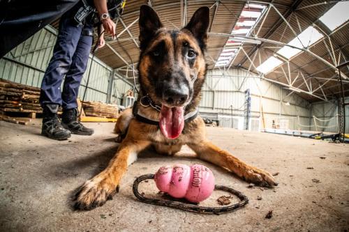 1erjuillet2024-Scotch1