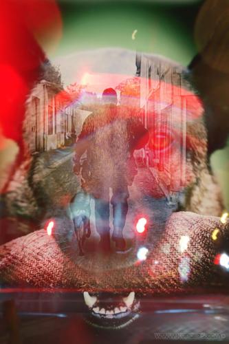 20240111-SkydobbleXp1