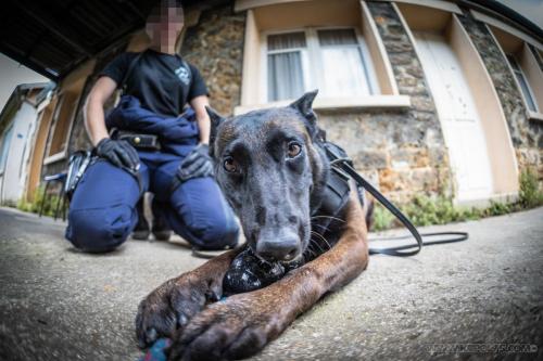 20240703-Orka4