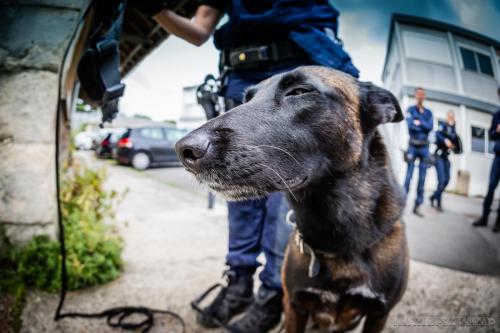 20240703-Orka6