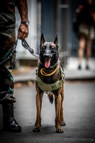 20240721-JOP-Team-India1