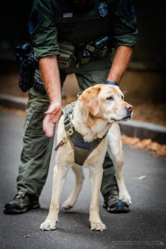 20240721-JOP-TeamFairfax1