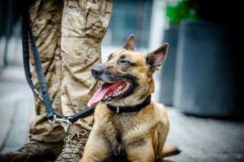 20240721-JOP-TeamPolland1