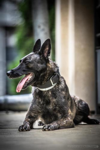 20240721-JOP-TeamPolland4