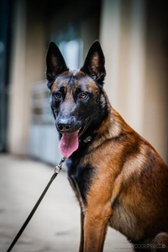 20240721-JOP-TeamSuisse2