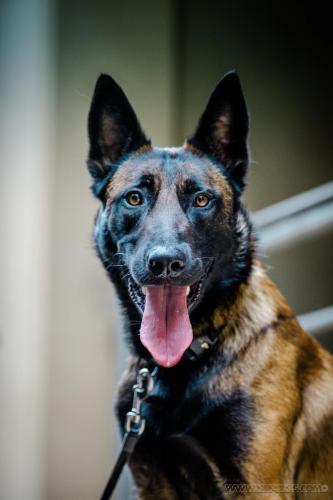 20240721-JOP-TeamSuisse3