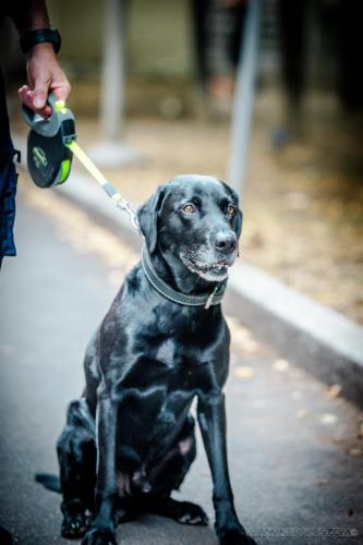 20240721-JOP-TeamSuisse6