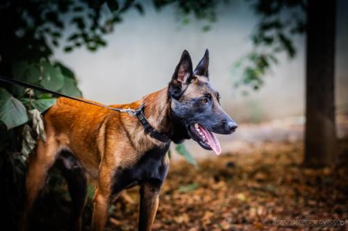 20240721-JOP-TeamSuisse8