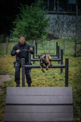 20240726-IMG 3510-Edit