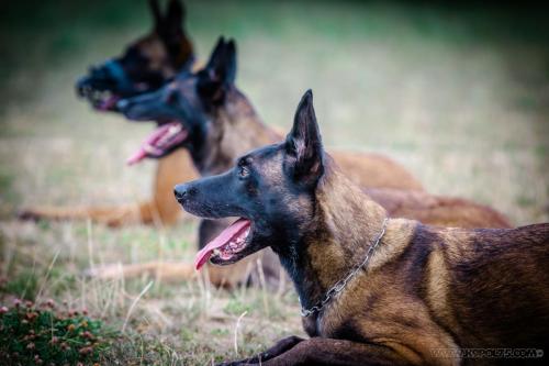 20240816-Preston-Nala-Ice1