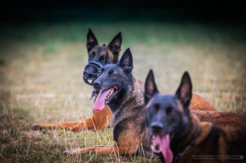 20240816-Preston-Nala-Ice2