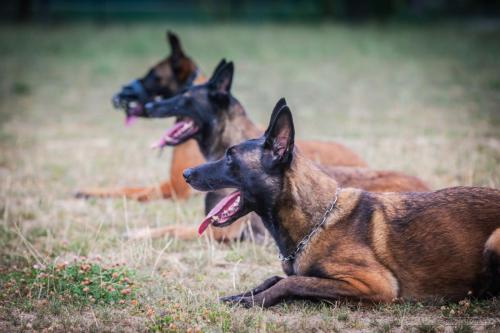 20240816-Preston-Nala-Ice3