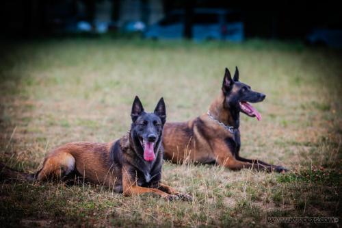 20240816-Preston-Nala3