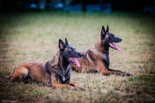 20240816-Preston-Nala4