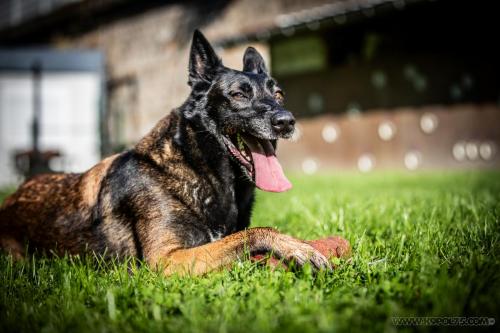 20240914-Nala3