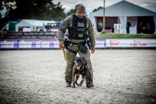 20240929-Planetechien-k9mp012-impact