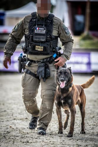 20240929-Planetechien-k9mp014-impact