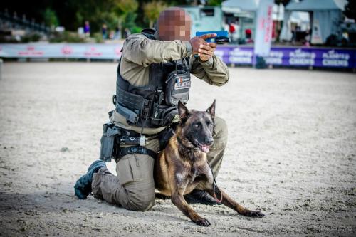 20240929-Planetechien-k9mp017-impact