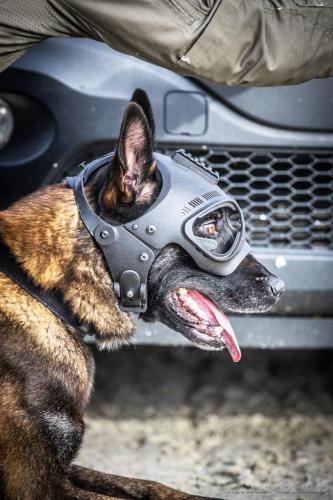 20240929-Planetechien-k9mp5-impact